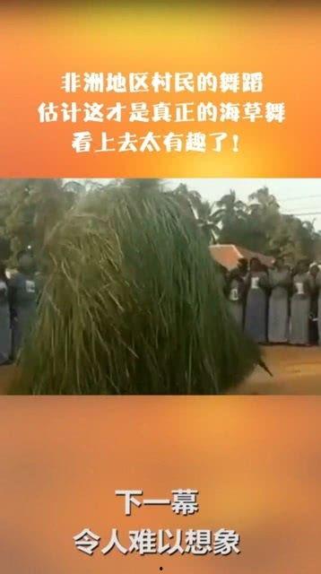 海草的搞笑舞蹈,欢乐海洋的喜剧盛宴